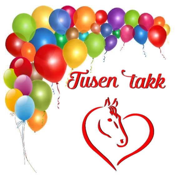 TUSEN TAKK FOR HJELPEN!